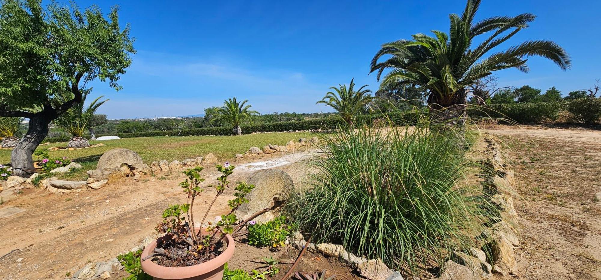Quinta Do Lagar Ferienhaus