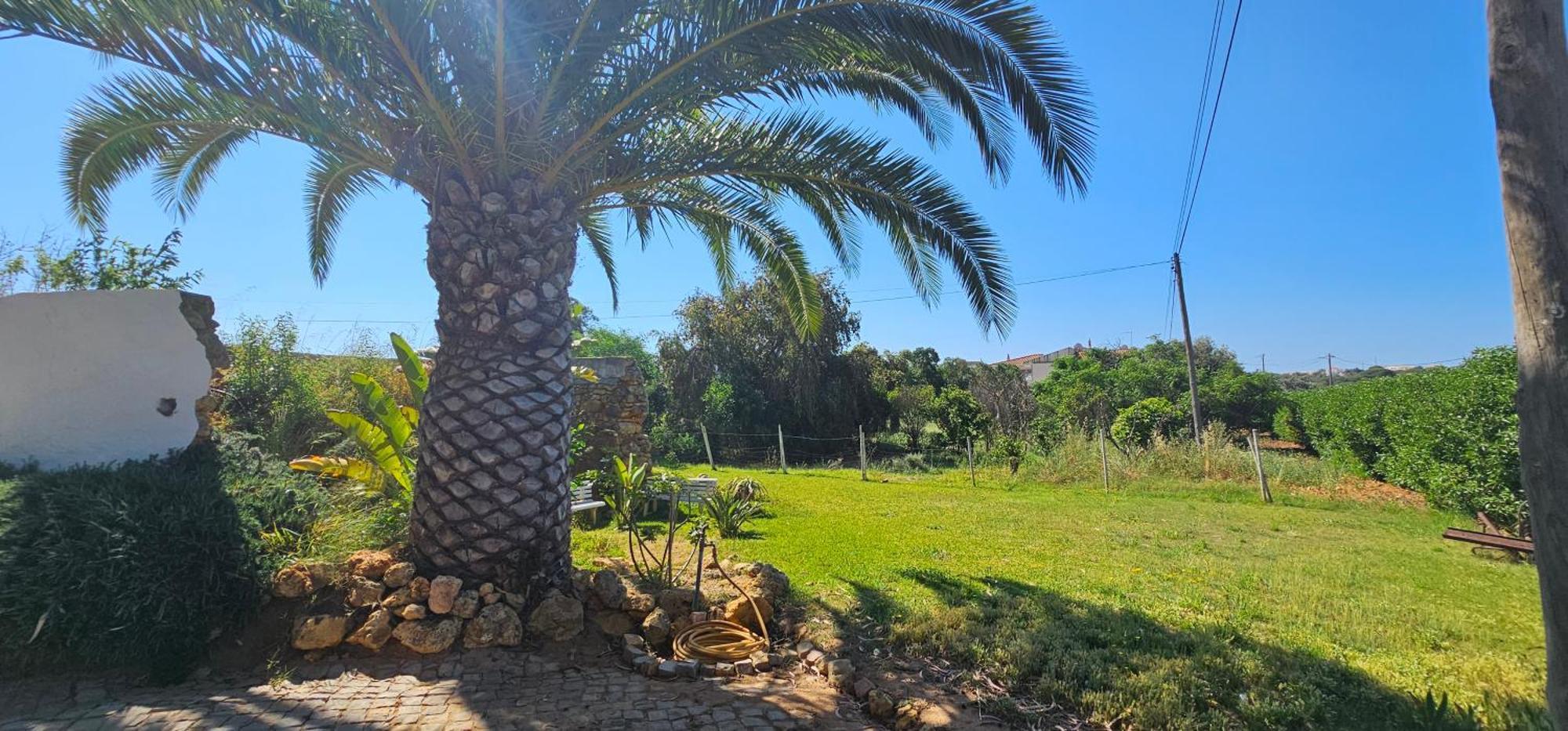 Vakantiehuis Quinta Do Lagar *